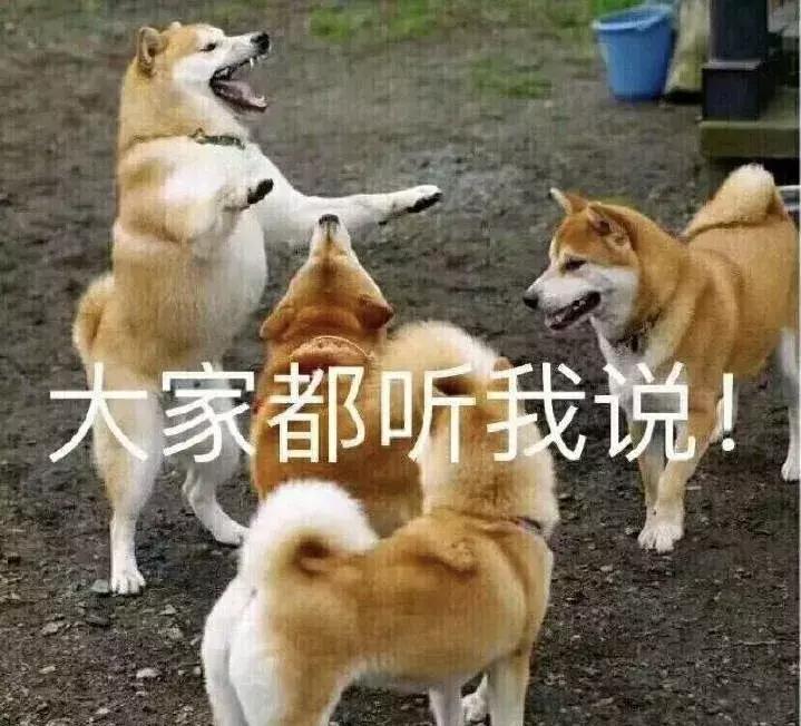 开春口红,开春口红色号