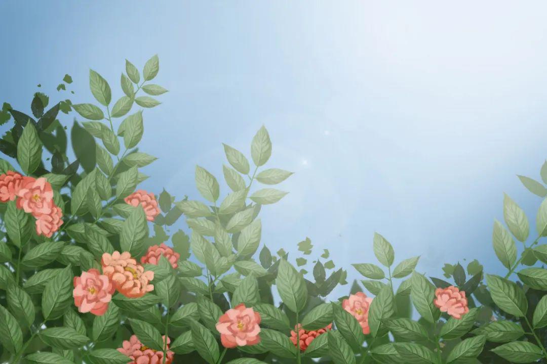 三年级描写夏天的好词好句,描写夏天的好词佳句和古诗