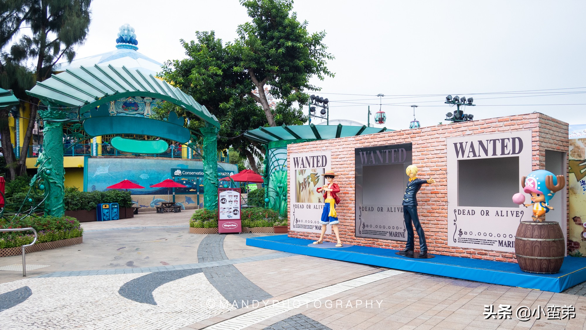 香港巡礼|是谁！敢拿水枪给20岁的海贼王庆生？