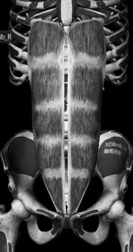 产后妈妈的痛谁能够理解？