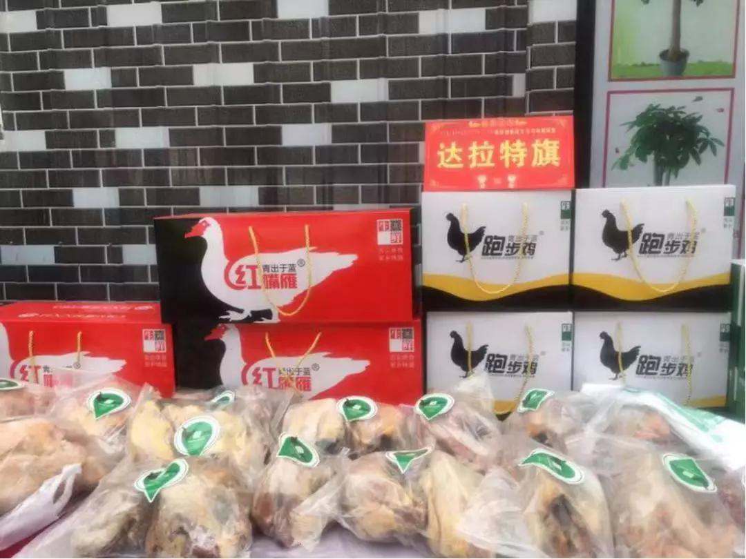 年货节福利来了快来给宝宝囤口粮,鄂尔多斯年货盛宴