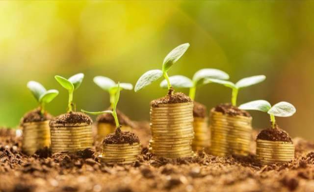 有30万存款该怎么理财,有30万钱怎么理财