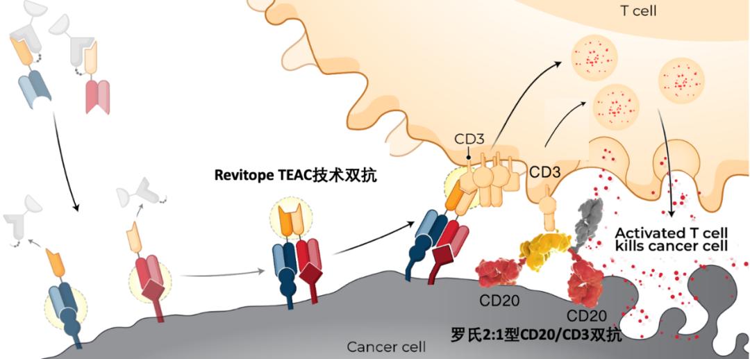 2022国内药企研发投入,2022年中国药企研发投入