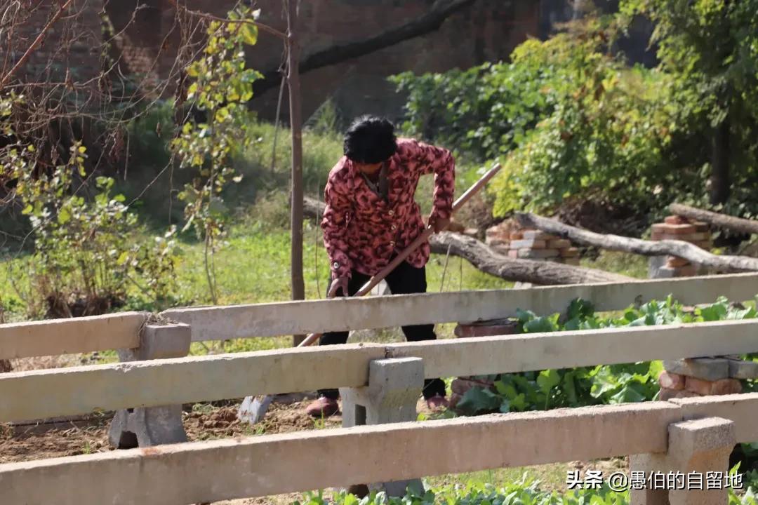 那年，我偷偷放走了村里的那个“蛮子”