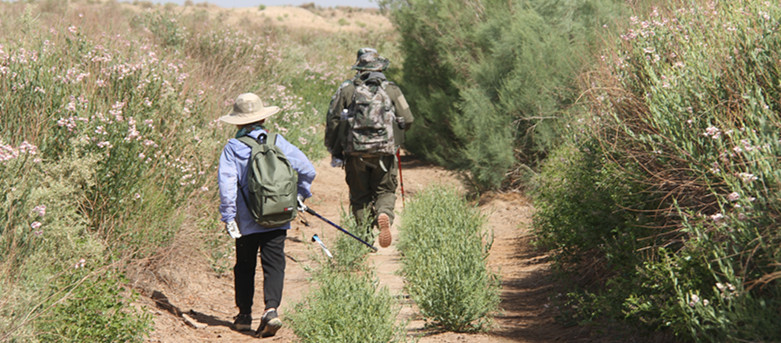 徒步西藏敦煌攻略,徒步走敦煌莫高窟