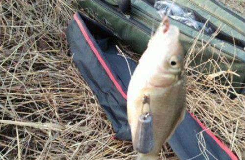 鲫鱼夏季串钩,冬天串钩鲫鱼最适合的钩型