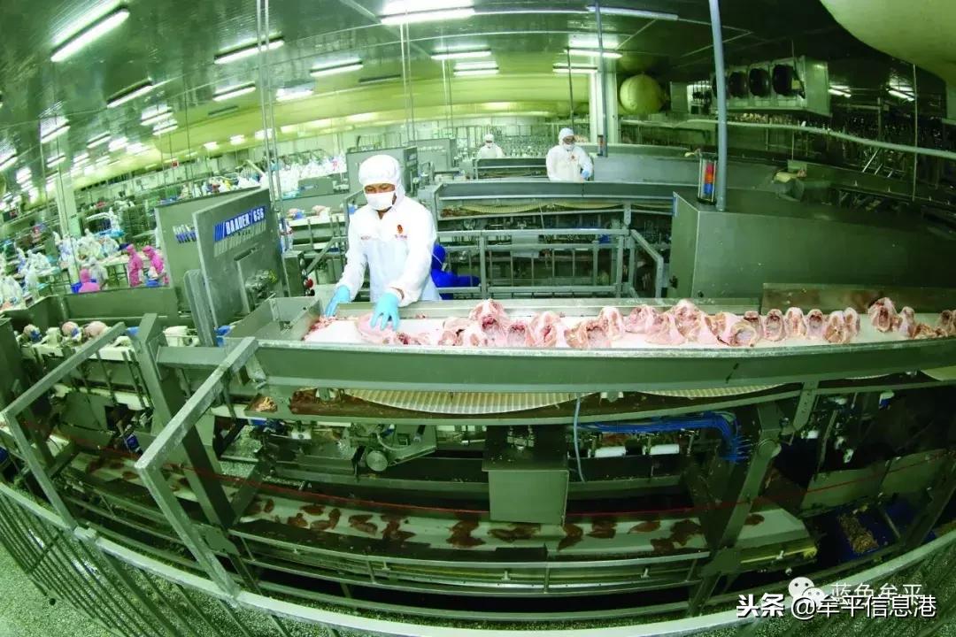 牟平仙坛集团有限公司,牟平仙坛股份