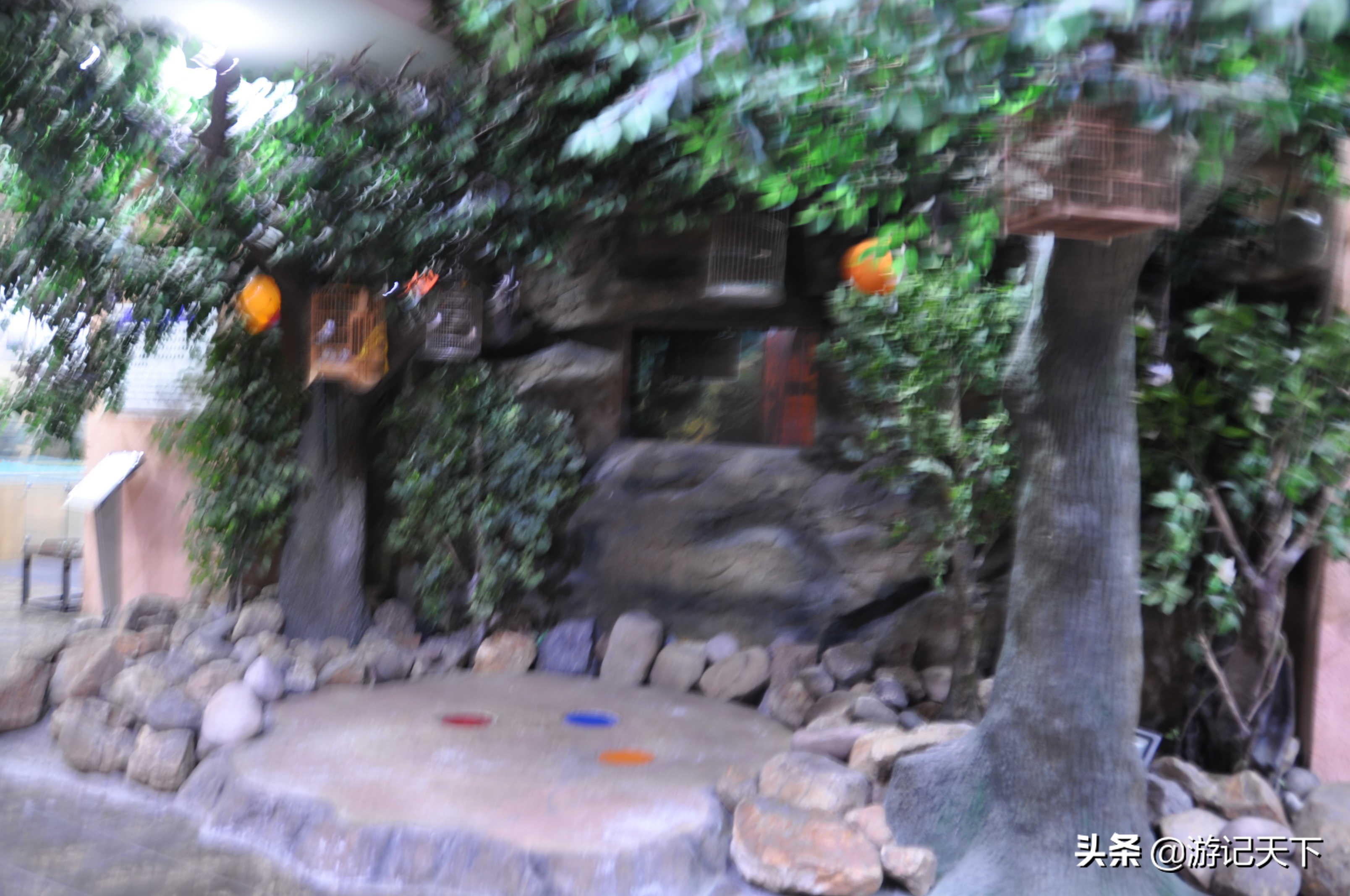 参观上海东方地质科普馆,上海东方地质科普馆需要预约吗