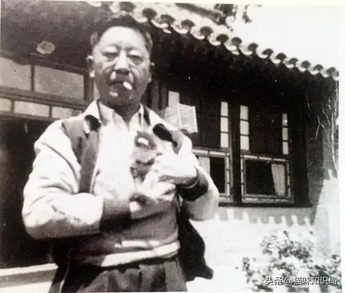 南宋哪位诗人爱养猫曾为猫写诗,南宋哪位诗人养猫还为猫写诗