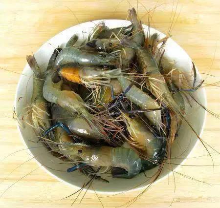 海南渔民整理的海鲜大全,渔民海鲜介绍