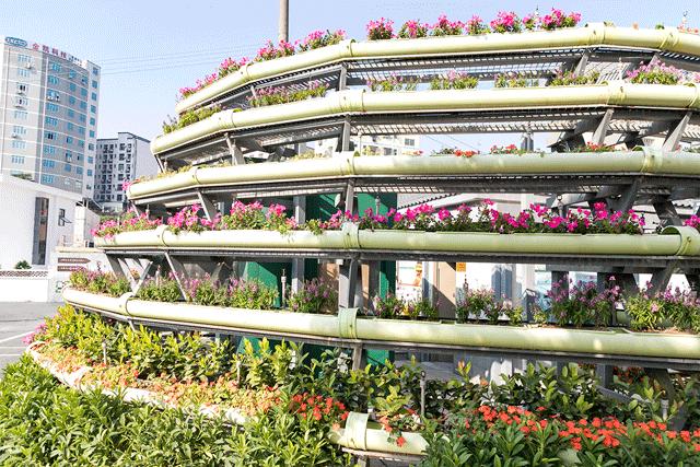 深圳游玩最佳地点排行榜前十名,深圳适合小孩游玩最佳地方推荐