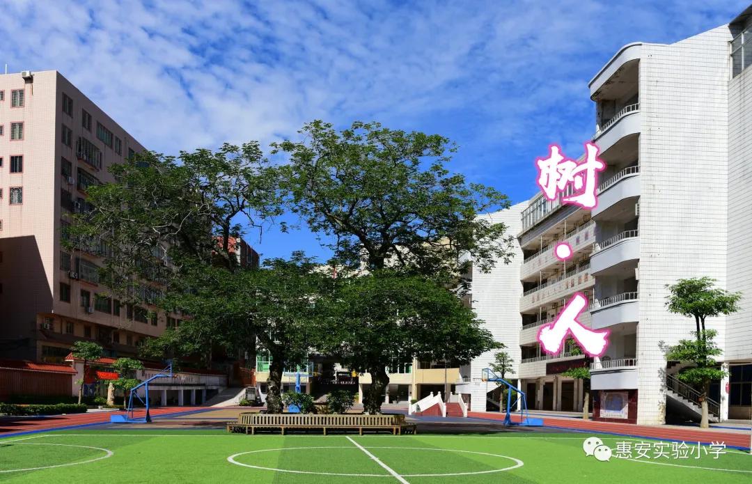惠安实验小学课堂,实验小学的教育亮点