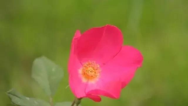 每天学习一点点女性小常识,每天学习一点点科普一下