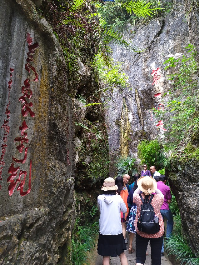 大自然的奇迹是什么,大自然的奇迹之地