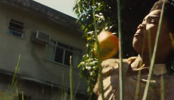 追溯巴西足球传奇巨星的辉煌历程,巴西足球传奇