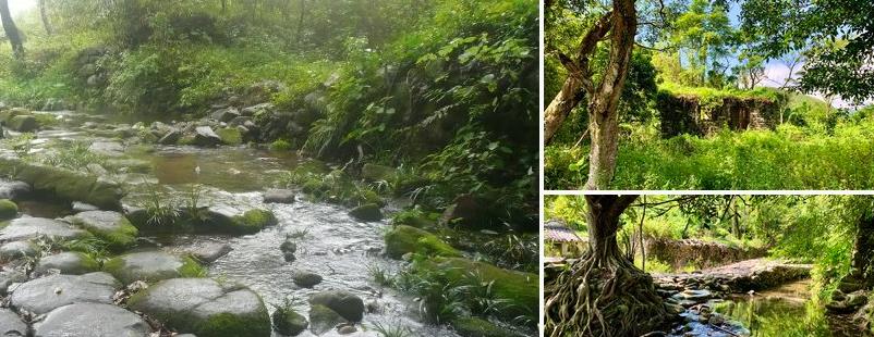 江门60岁以上免费景点有哪些,江门旅游景点推荐网红打卡点