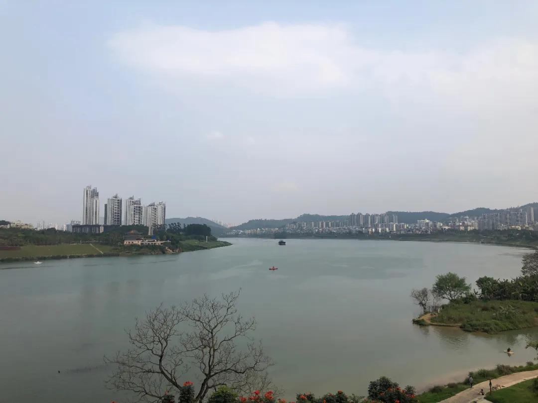 柳沙高端盘,柳沙神盘现在怎么样