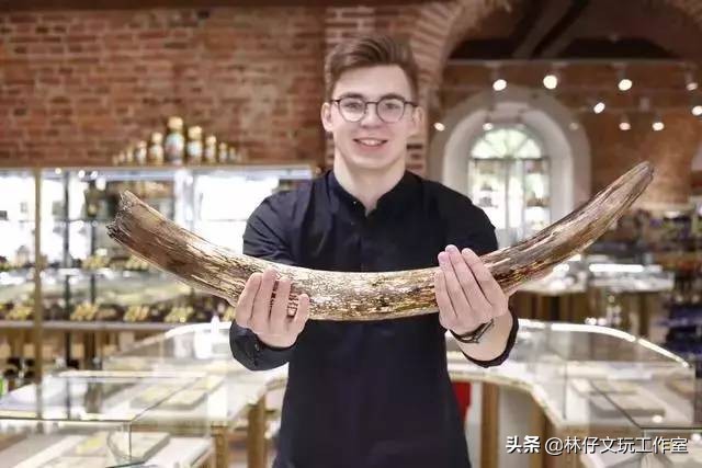 猛犸象牙详细介绍,猛犸化石收藏价值一览表