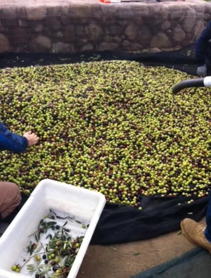 葡萄酒小白怎么选红酒呢,红酒入门级与中级有什么不同