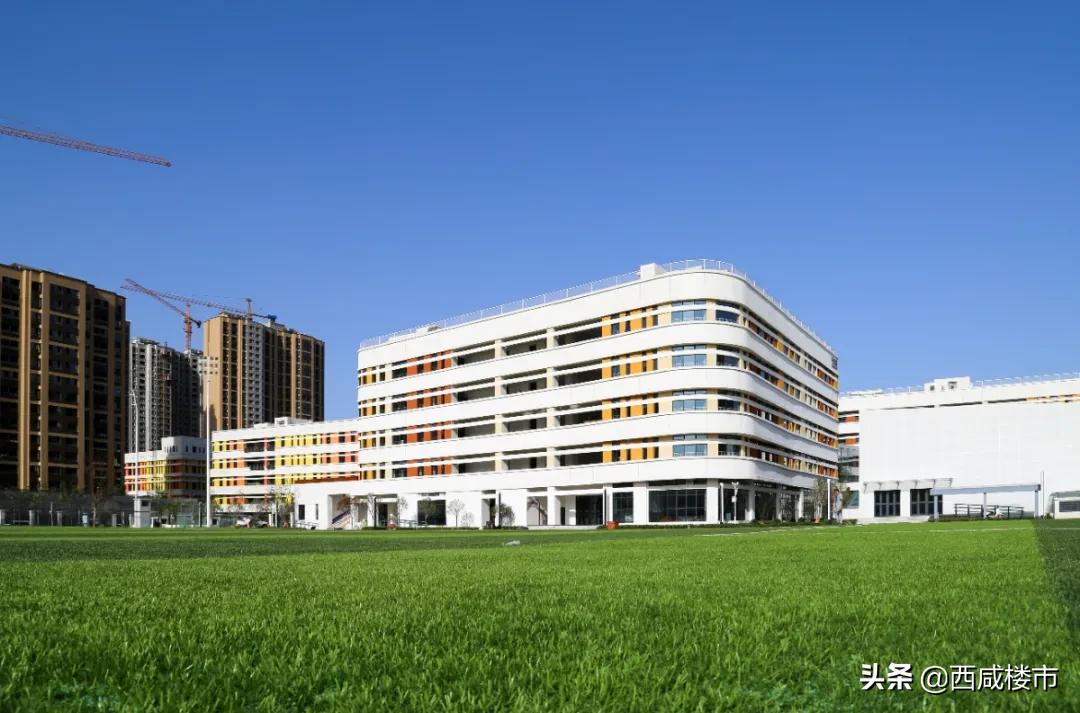 新增的231个学位是什么,5年内新增438万公办学位