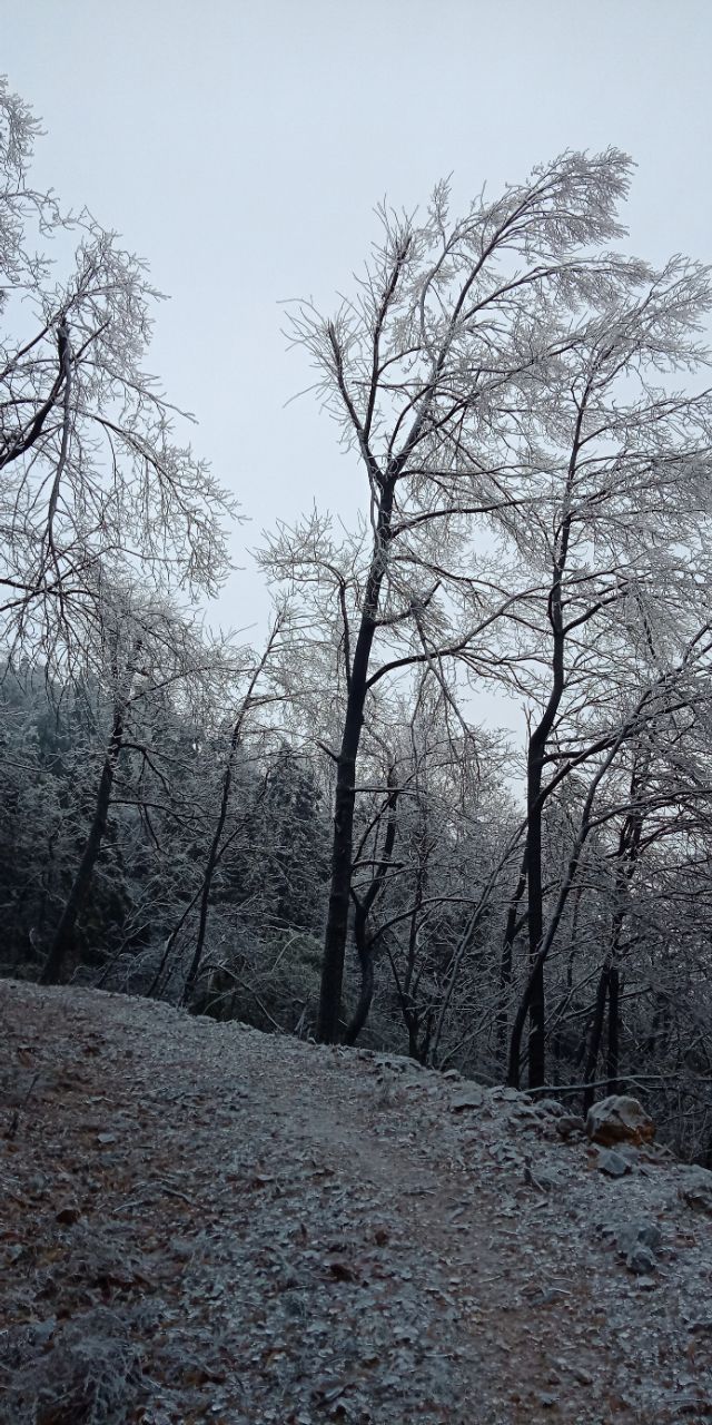 新手养羊八大禁忌,新手养羊