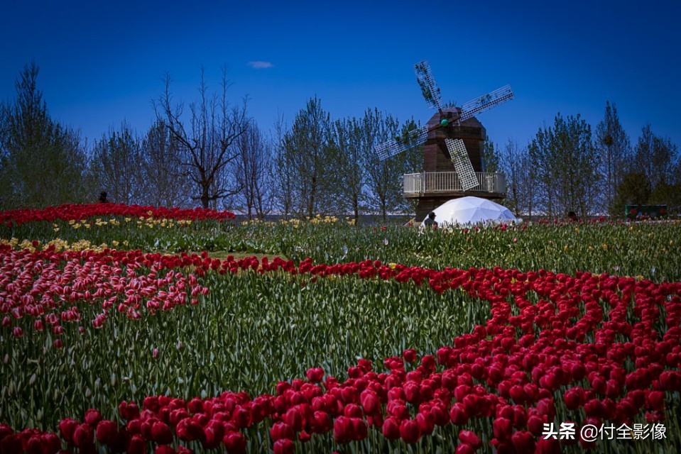 北京国际鲜花港有限公司,北京国际鲜花港一日游