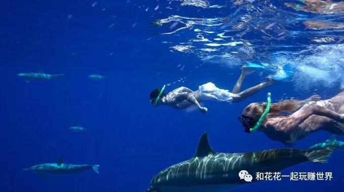 北京到毛里求斯自由行攻略,毛里求斯攻略完整版