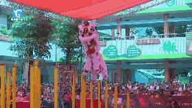 藤县最近有什么大新闻,藤县最近发生什么了