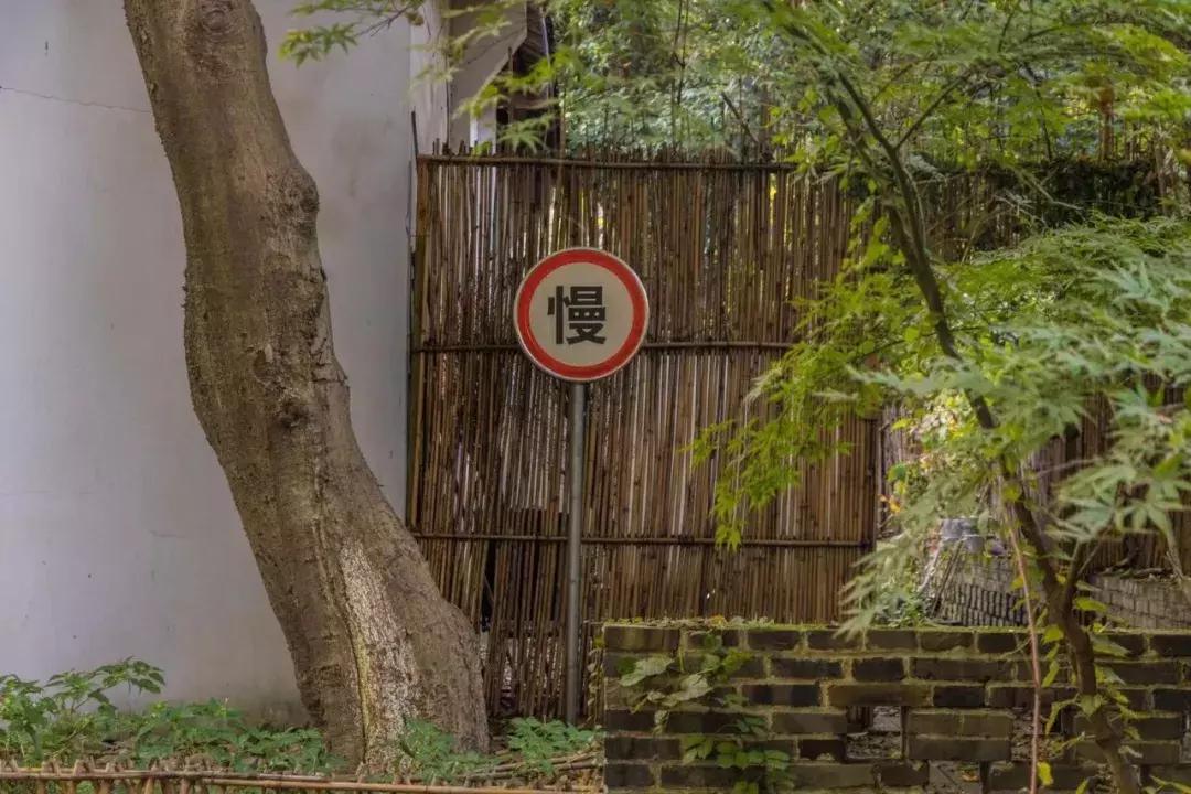 南京的大学学校面积,南京的大学有哪些