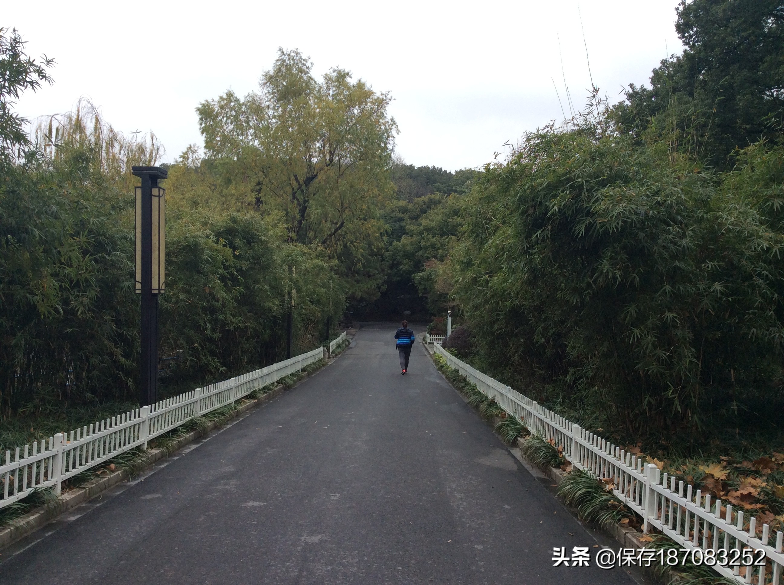 上海普陀山公园,普陀区长风公园在哪