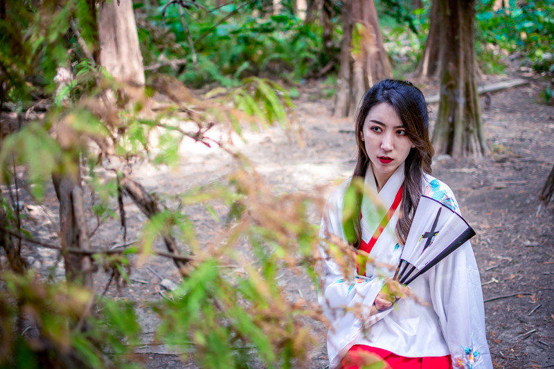 星湖冬日燃情，比落羽杉还要红的是什么？#我和湿地有个约会#