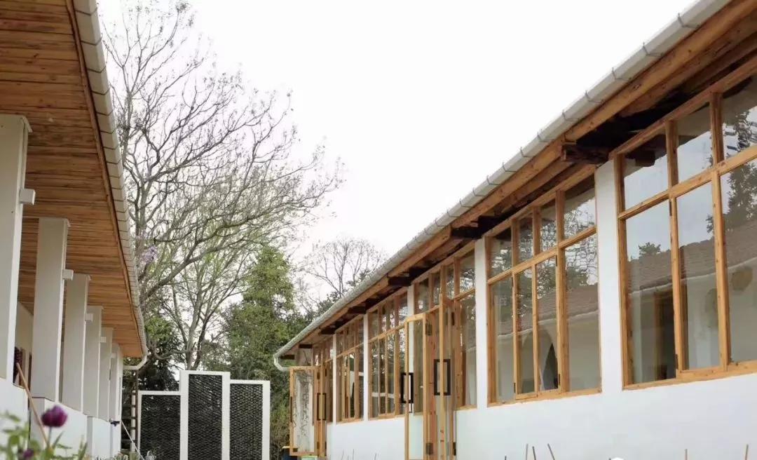 80后夫妻住山,80后两口子隐居大山