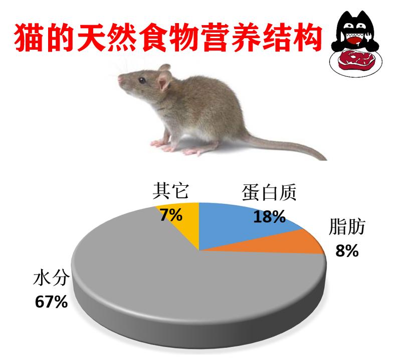 猫常吃鱼怎么样,猫可以经常吃什么鱼