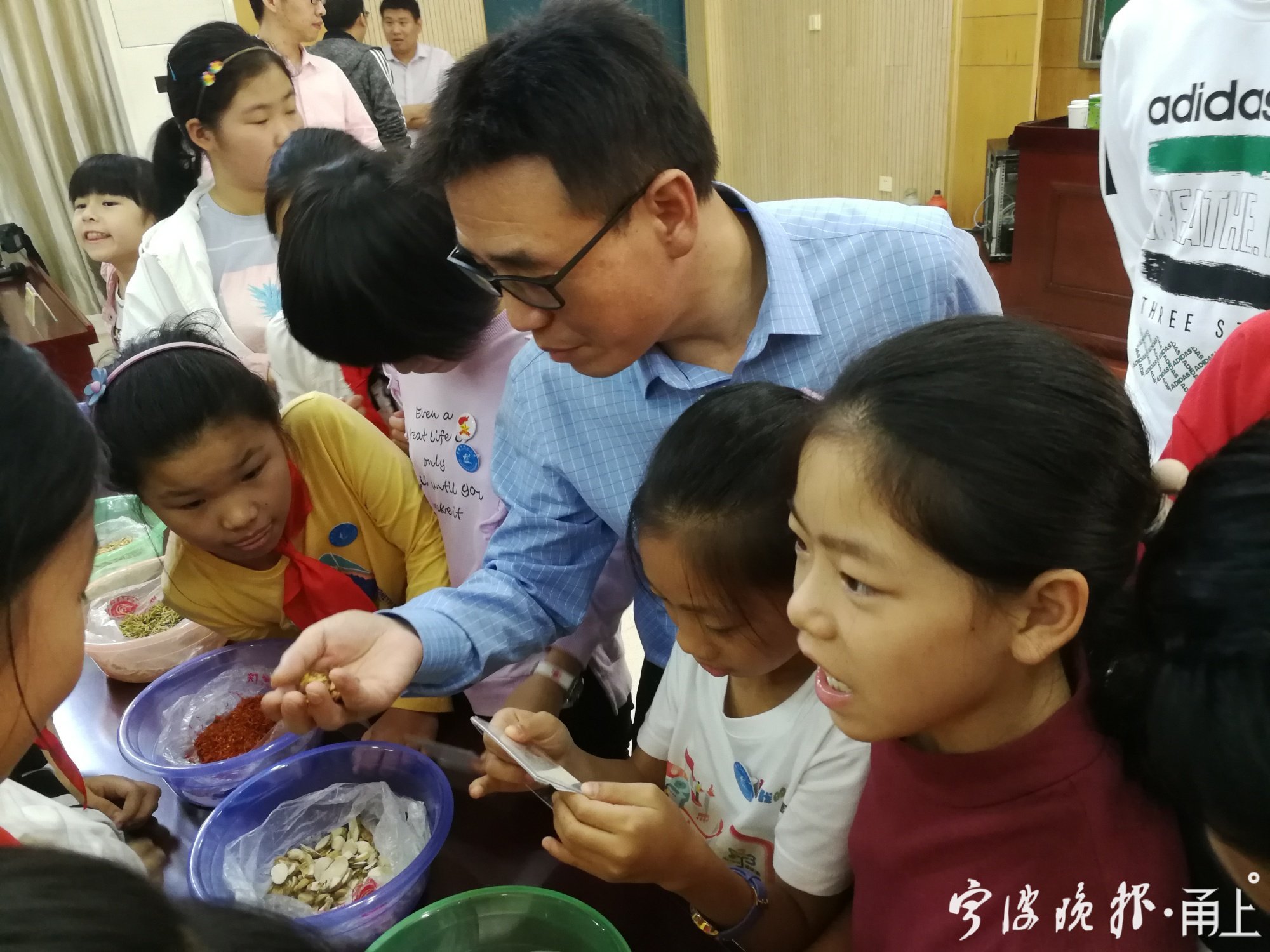 宁波最难进的8所学校,宁波最好的高水平学校
