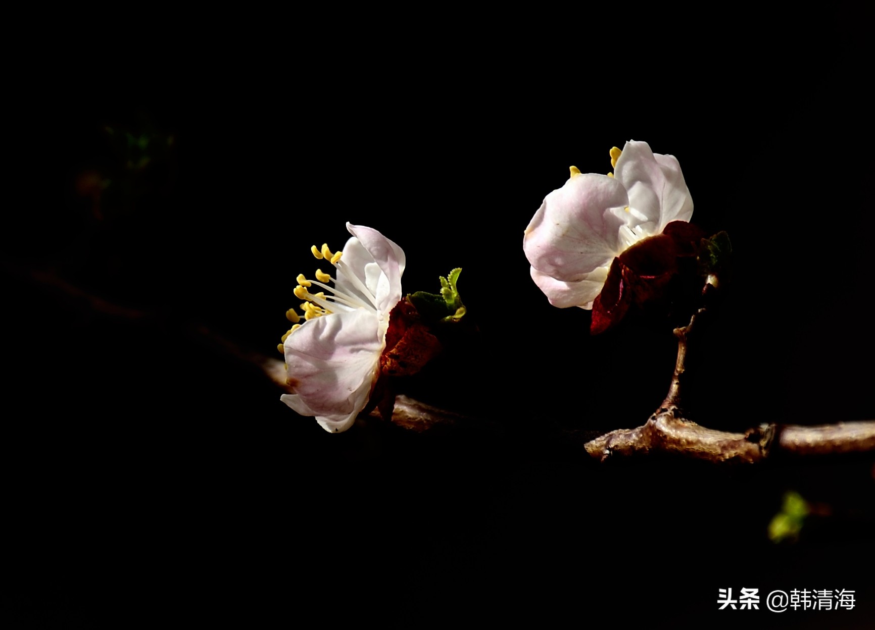 天津市南开区水畔花园简介,天津南开水畔花园洋房