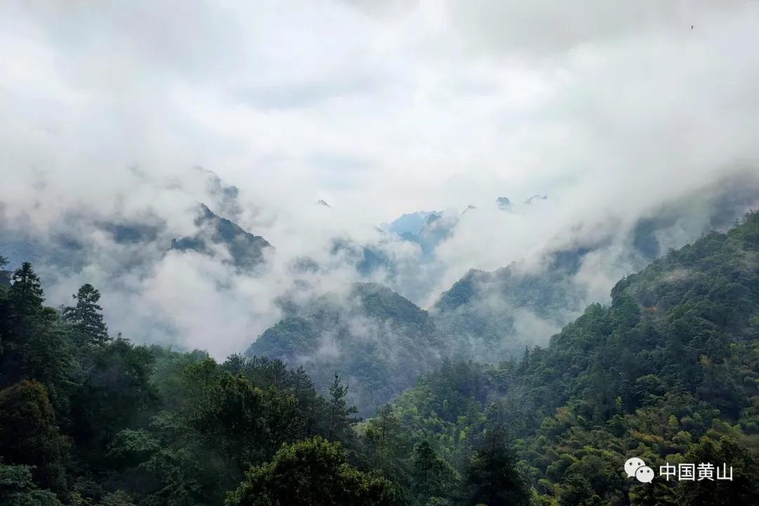 黄山风景区北大门风景,黄山风景区出现大面积云海景观