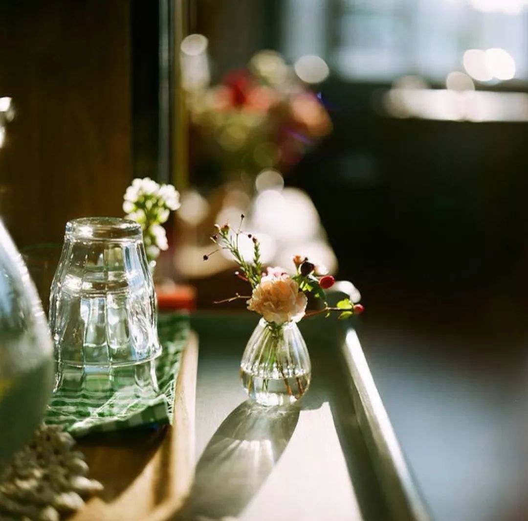 人生6句话渡人渡己句句在理,渡己亦渡人语录