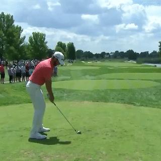 冯珊珊登顶高坛世界第一,点评冯珊珊夺得九个冠军