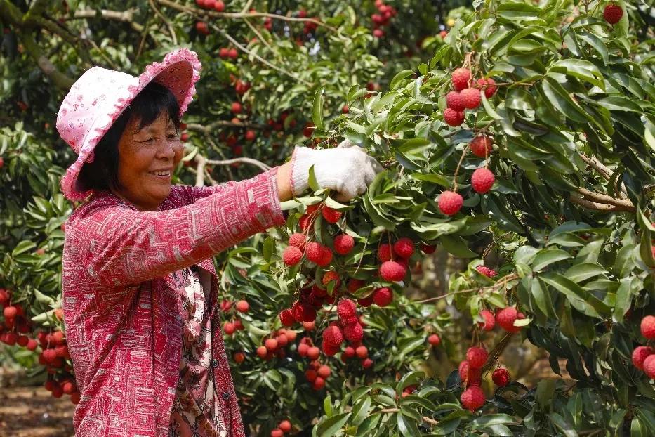 揭阳市长公示蔡淡群,揭阳干部公示蔡淡群