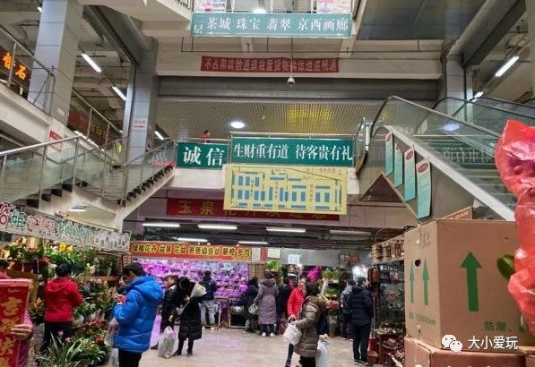 过年必逛花卉市场,北京值得去的花卉市场