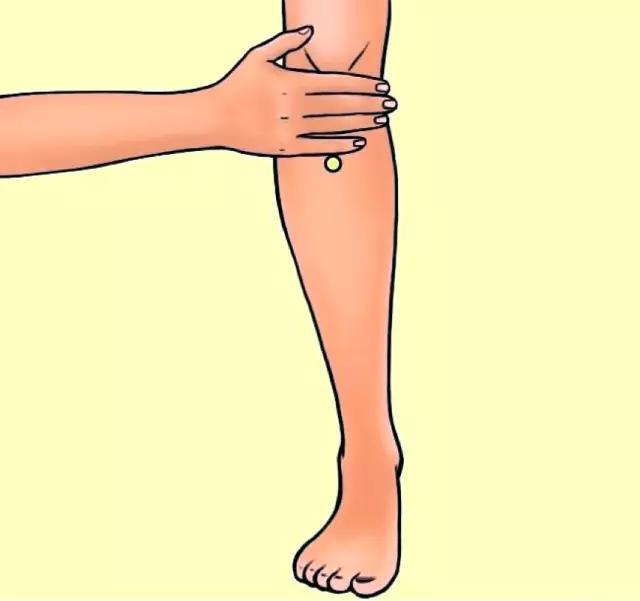 每日一穴内关穴,每日一穴中指穴位