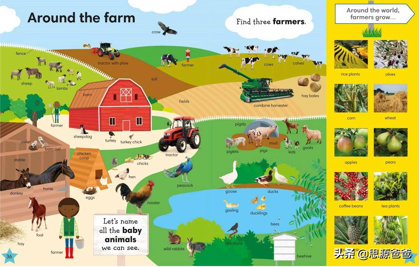 思源爸爸小学生,思源爸爸书单完整版