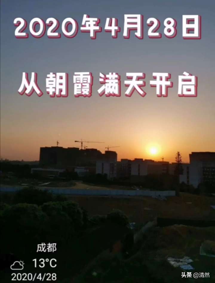 华西坝黄花风铃,我与华