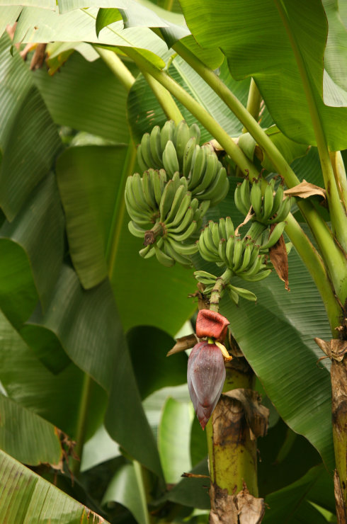鎶氫粖蹇嗘様,灏忔椂鍊欏悆鐨勯浂椋熺殑鍥炲繂