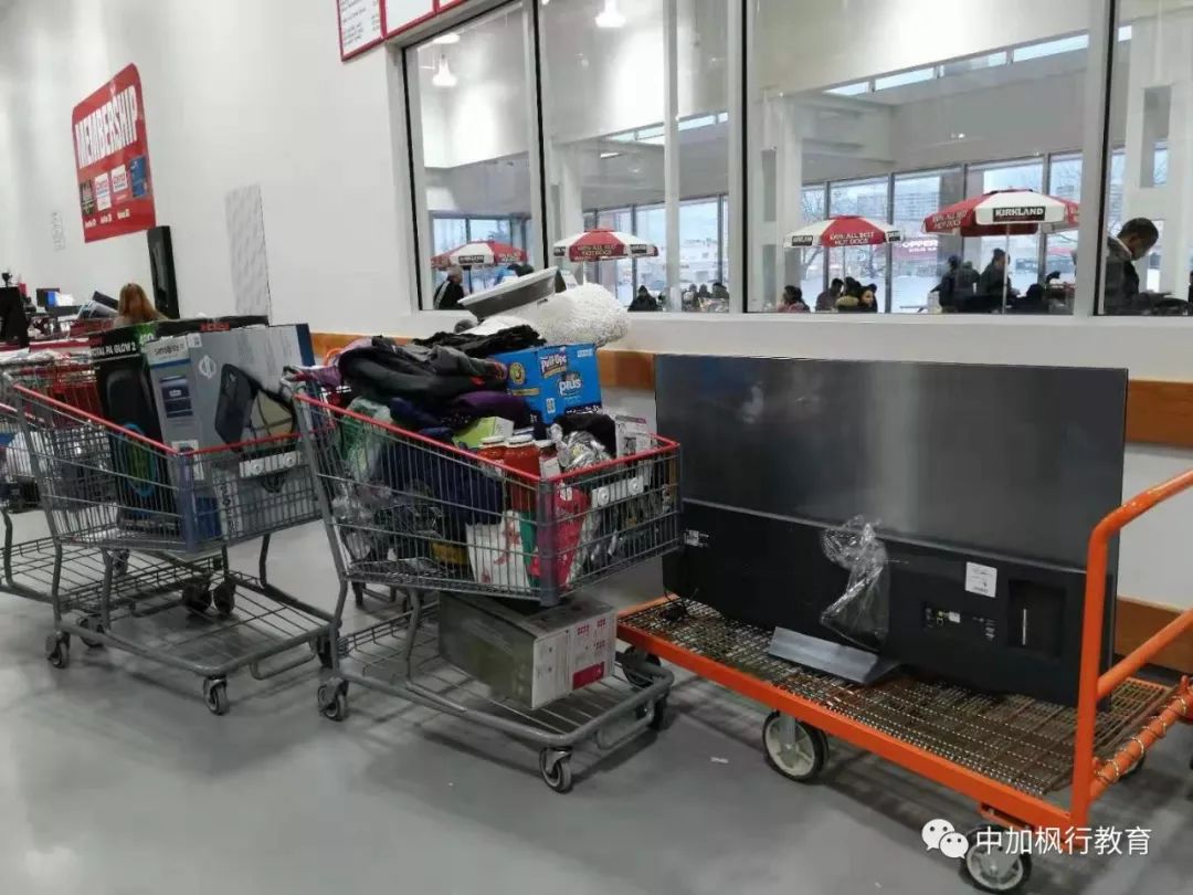 加拿大costco购物攻略视频,costco多伦多推荐