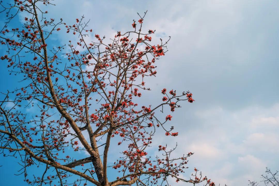 广西崇左秘境丽世度假村看瀑布,广西崇左秘境丽世度假村景点