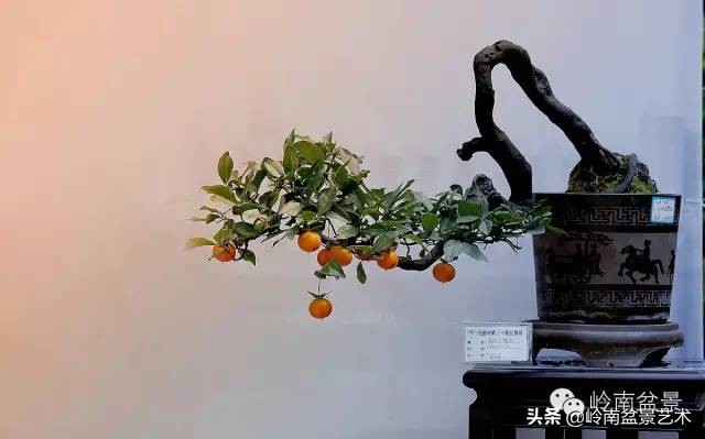 鎮礀缁濆閫㈢敓,鎮礀鐩嗘櫙澶у叏