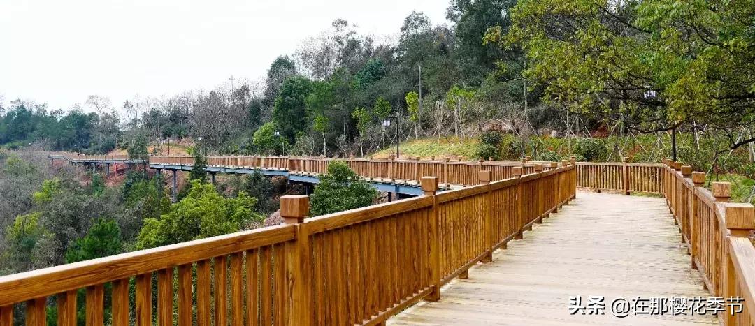 马祖岩人文公园大概多少公里,马祖岩人文公园夜光路