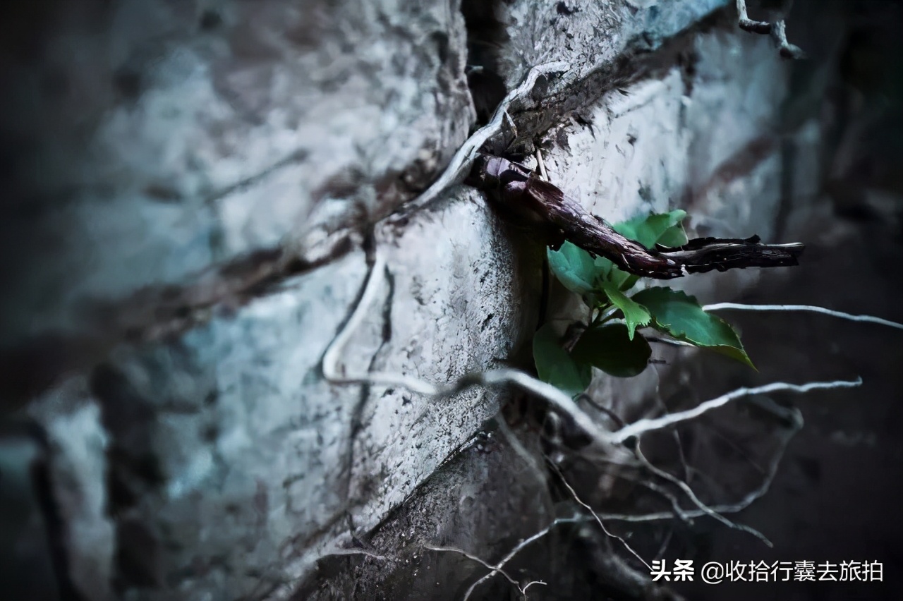 摄影师为什么都用长焦,摄影师为什么喜欢35mm焦段