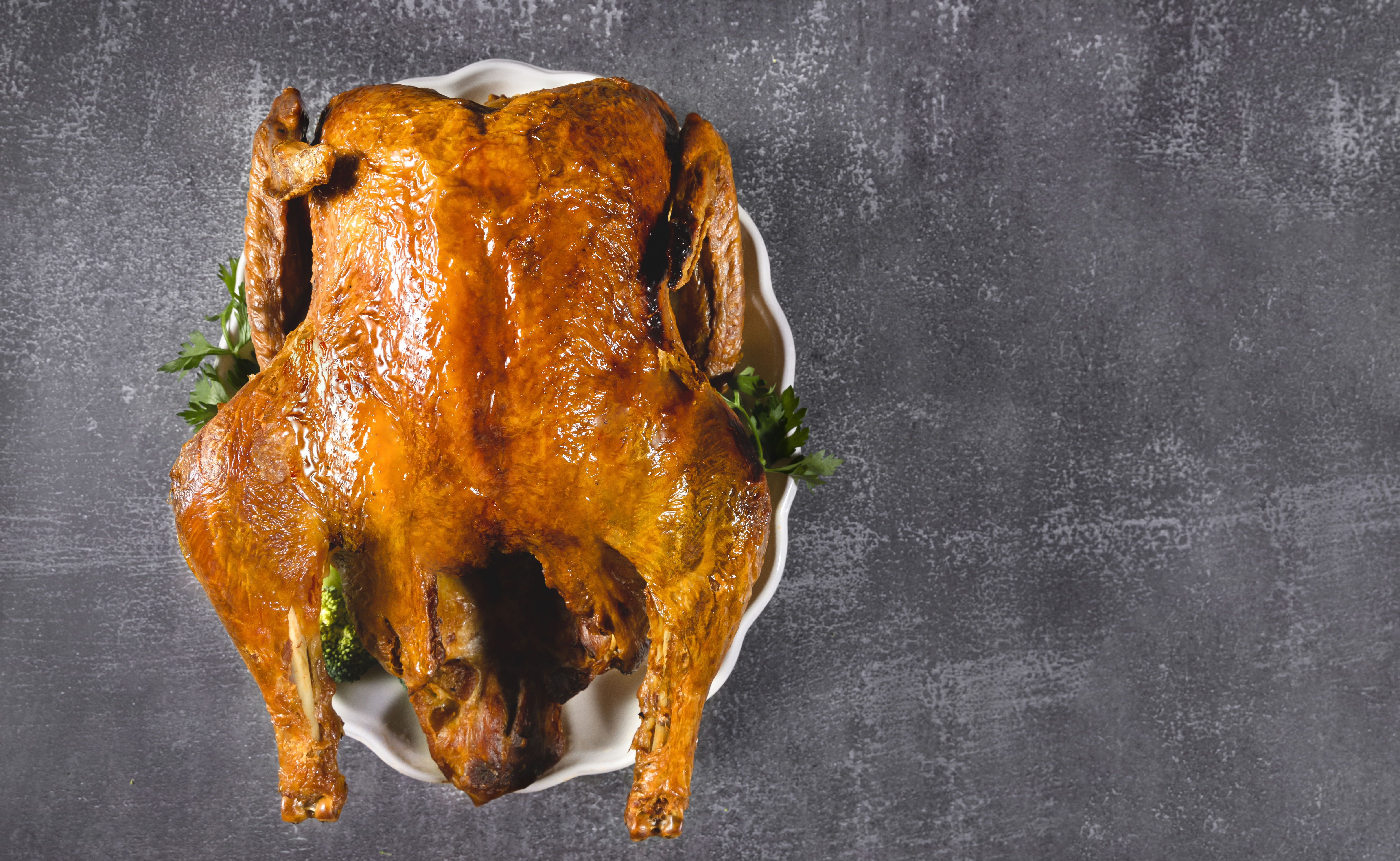 火鸡和普通鸡有区别哪个贵,一只火鸡可卖多少钱